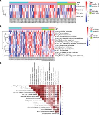 Metabolic Reprogramming of Alloreactive T Cells Through TCR/MYC/mTORC1/E2F6 Signaling in aGvHD Patients